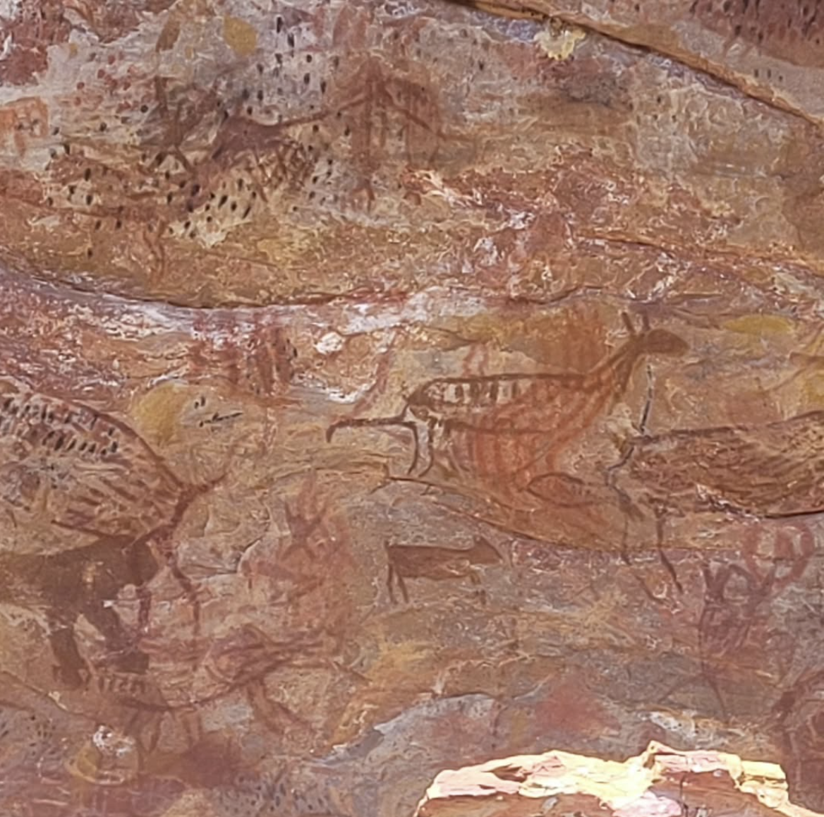Sítio Arqueológico Pedra Pintada Cocais